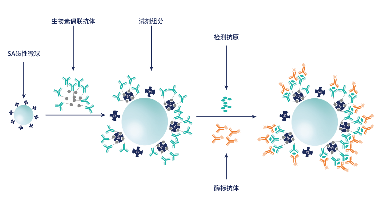 1685687564255476.png 图片1.png