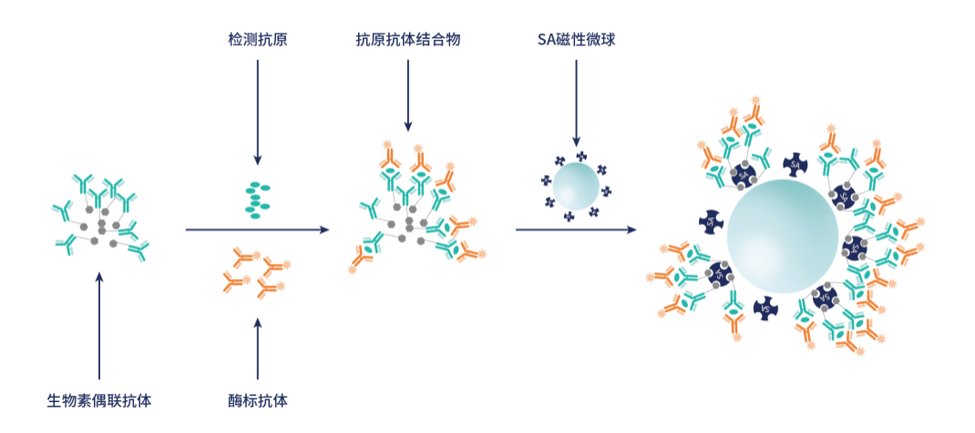 1685688020233713.png 图片1.png