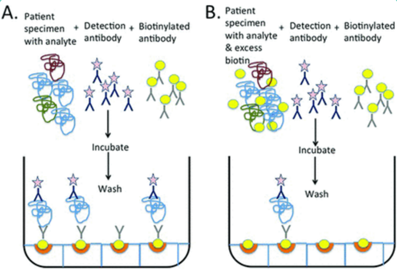 1685688382902017.png d68059158c3493050099ed8a7aed5d8.png